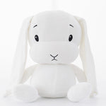 Load image into Gallery viewer, Cute Rabbit Plush Toys 2020
